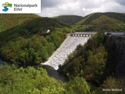 Nationaalpark Eifel